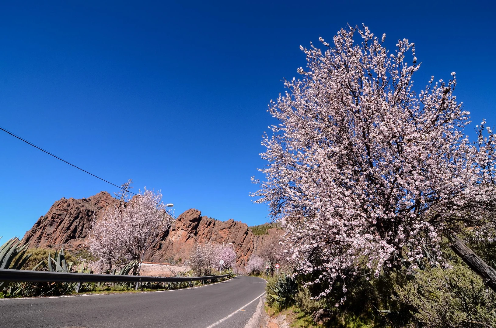 Ruta solitaria atravesando el paisaje argentino.